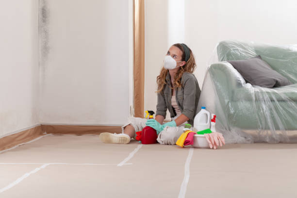 Reliable Black Mold Removal contractor in Wellesley, MA by WQB Mold Removal